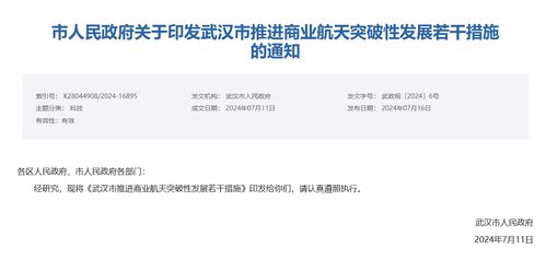 商業(yè)航天重磅 武漢放大招 打造 中國星谷