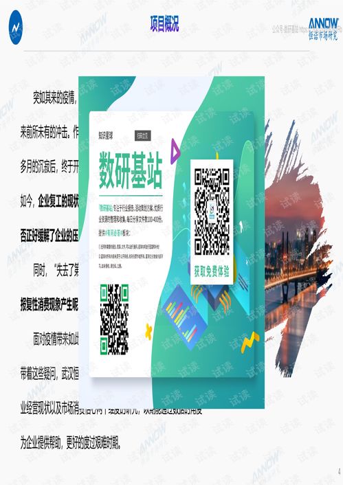武漢企業現狀調查報告 武漢恒諾 202004精品報告2020.pdf