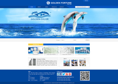 武漢金福達企業(yè)網(wǎng)站設計建設