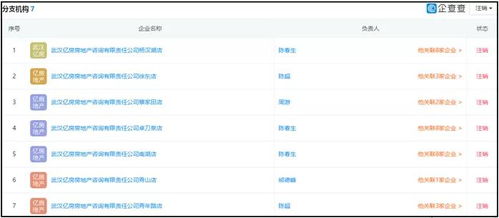 湖北消金合作方為客戶擔(dān)保引發(fā)關(guān)注，法院判決書揭示最高收取2%服務(wù)費