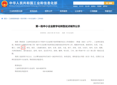 武漢市人民政府門戶網(wǎng)站與武漢企業(yè)網(wǎng)站 協(xié)同發(fā)展，共創(chuàng)城市新未來